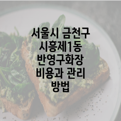 서울시 금천구 시흥제1동 반영구화장 비용과 관리 방법