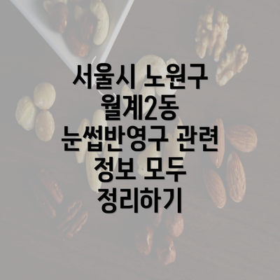 서울시 노원구 월계2동 눈썹반영구 관련 정보 모두 정리하기