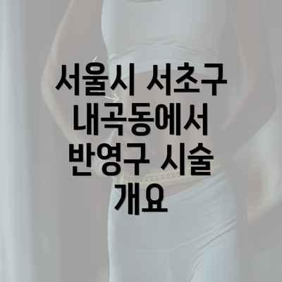 서울시 서초구 내곡동에서 반영구 시술 개요