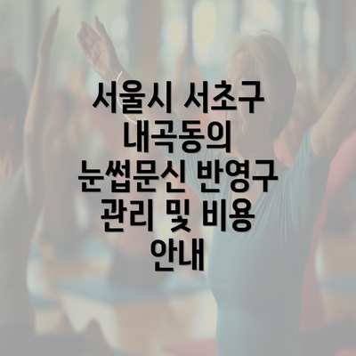 서울시 서초구 내곡동의 눈썹문신 반영구 관리 및 비용 안내