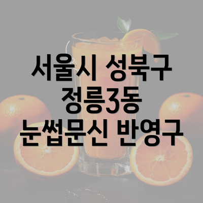 서울시 성북구 정릉3동 눈썹문신 반영구