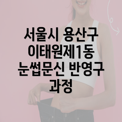 서울시 용산구 이태원제1동 눈썹문신 반영구 과정