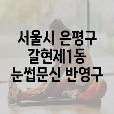 서울시 은평구 갈현제1동 눈썹문신 반영구