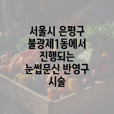 서울시 은평구 불광제1동에서 진행되는 눈썹문신 반영구 시술