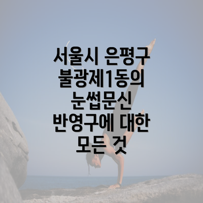 서울시 은평구 불광제1동의 눈썹문신 반영구에 대한 모든 것