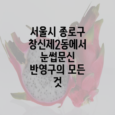 서울시 종로구 창신제2동에서 눈썹문신 반영구의 모든 것