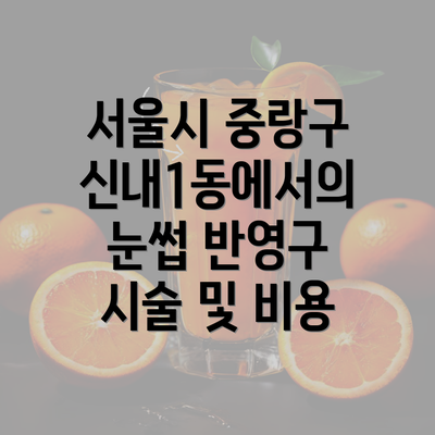 서울시 중랑구 신내1동에서의 눈썹 반영구 시술 및 비용