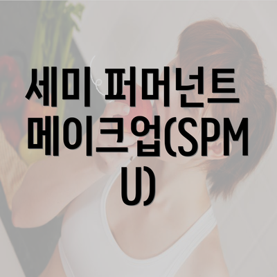 세미 퍼머넌트 메이크업(SPMU)