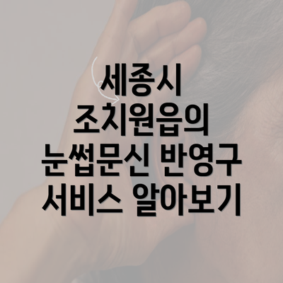 세종시 조치원읍의 눈썹문신 반영구 서비스 알아보기