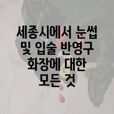 세종시에서 눈썹 및 입술 반영구 화장에 대한 모든 것