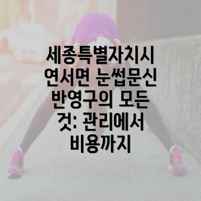 세종특별자치시 연서면 눈썹문신 반영구의 모든 것: 관리에서 비용까지