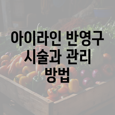 아이라인 반영구 시술과 관리 방법