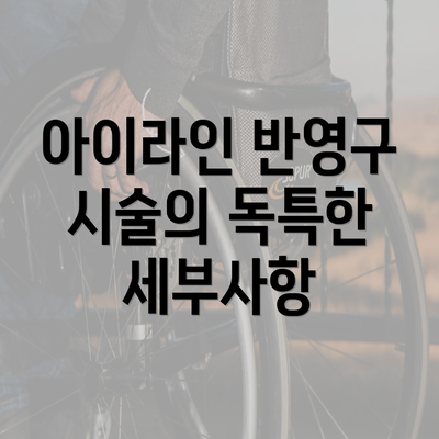 아이라인 반영구 시술의 독특한 세부사항