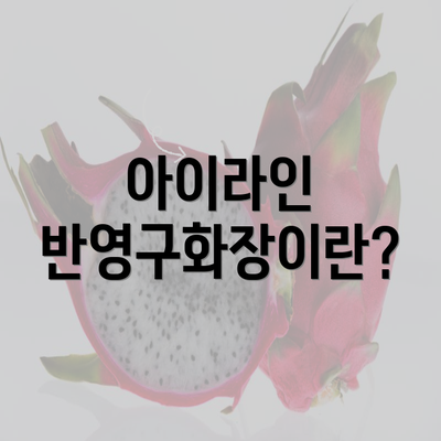 아이라인 반영구화장이란?