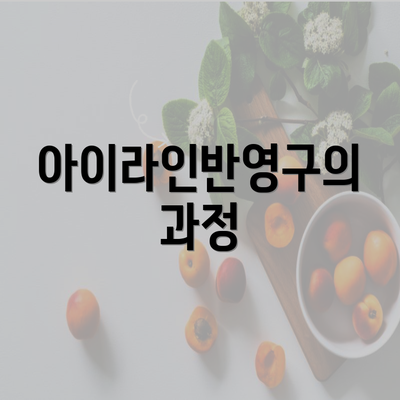 아이라인반영구의 과정