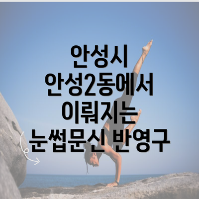 안성시 안성2동에서 이뤄지는 눈썹문신 반영구