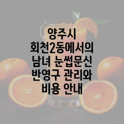 양주시 회천2동에서의 남녀 눈썹문신 반영구 관리와 비용 안내