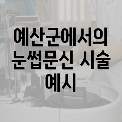 예산군에서의 눈썹문신 시술 예시