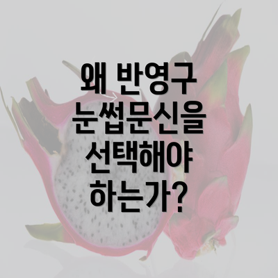 왜 반영구 눈썹문신을 선택해야 하는가?