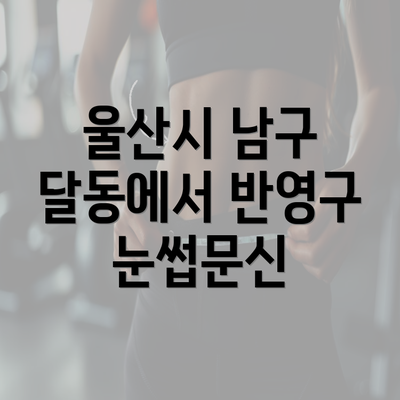 울산시 남구 달동에서 반영구 눈썹문신