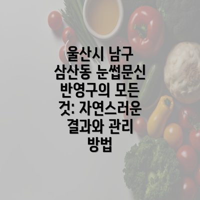 울산시 남구 삼산동 눈썹문신 반영구의 모든 것: 자연스러운 결과와 관리 방법