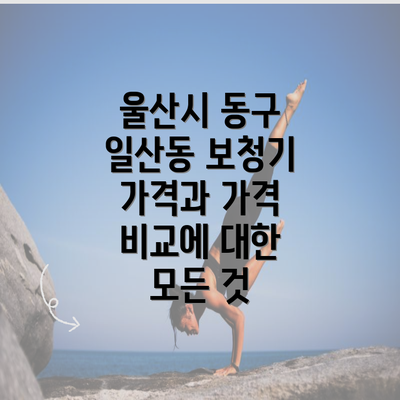 울산시 동구 일산동 보청기 가격과 가격 비교에 대한 모든 것