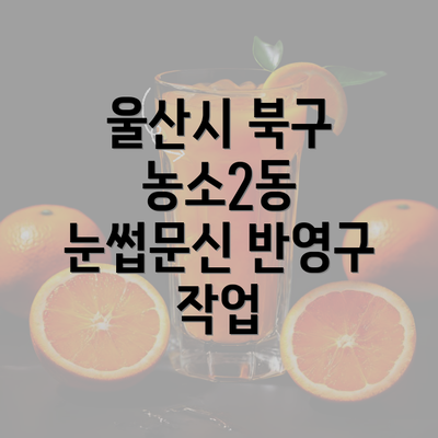 울산시 북구 농소2동 눈썹문신 반영구 작업