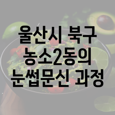 울산시 북구 농소2동의 눈썹문신 과정