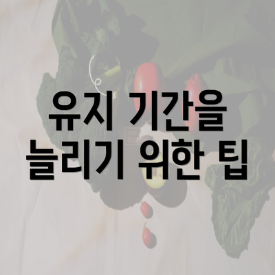 유지 기간을 늘리기 위한 팁