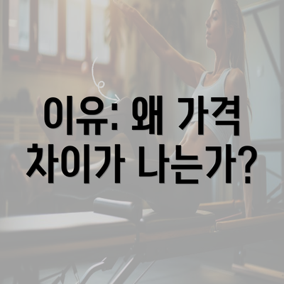 이유: 왜 가격 차이가 나는가?