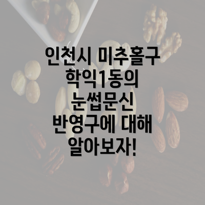 인천시 미추홀구 학익1동의 눈썹문신 반영구에 대해 알아보자!