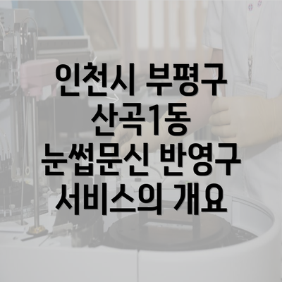 인천시 부평구 산곡1동 눈썹문신 반영구 서비스의 개요