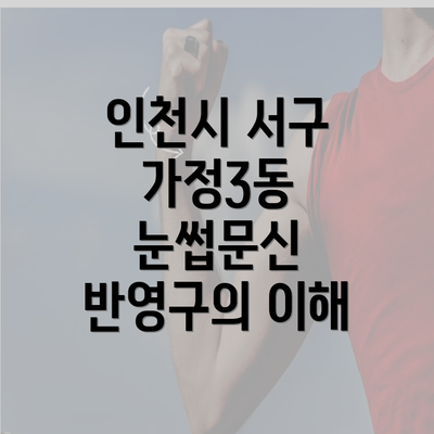 인천시 서구 가정3동 눈썹문신 반영구의 이해