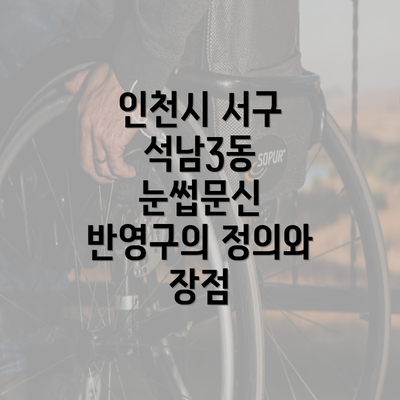 인천시 서구 석남3동 눈썹문신 반영구의 정의와 장점