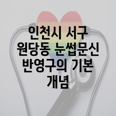 인천시 서구 원당동 눈썹문신 반영구의 기본 개념