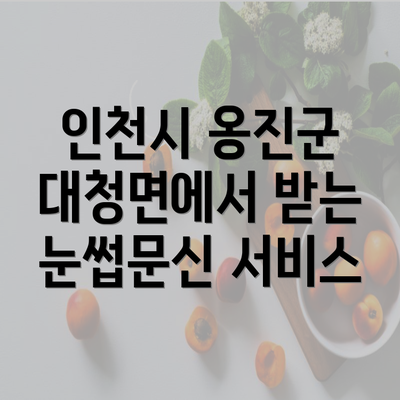 인천시 옹진군 대청면에서 받는 눈썹문신 서비스