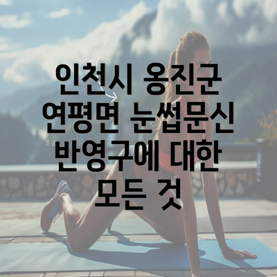 인천시 옹진군 연평면 눈썹문신 반영구에 대한 모든 것