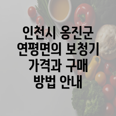 인천시 옹진군 연평면의 보청기 가격과 구매 방법 안내