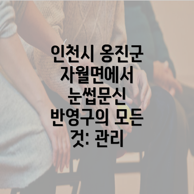 인천시 옹진군 자월면에서 눈썹문신 반영구의 모든 것: 관리