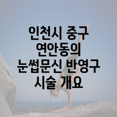 인천시 중구 연안동의 눈썹문신 반영구 시술 개요