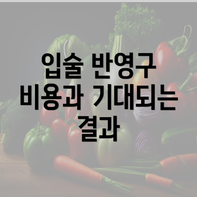 입술 반영구 비용과 기대되는 결과