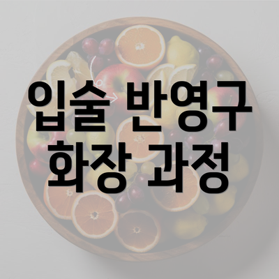 입술 반영구 화장 과정