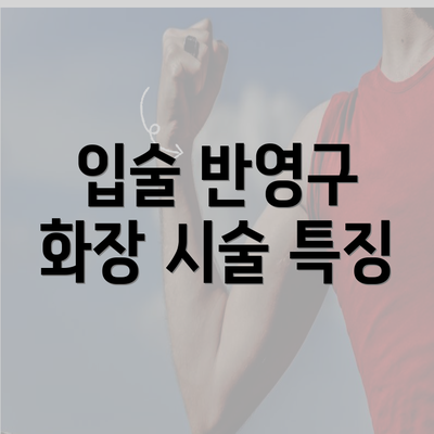 입술 반영구 화장 시술 특징