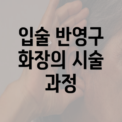 입술 반영구 화장의 시술 과정