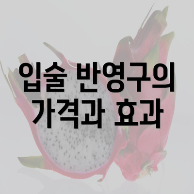 입술 반영구의 가격과 효과