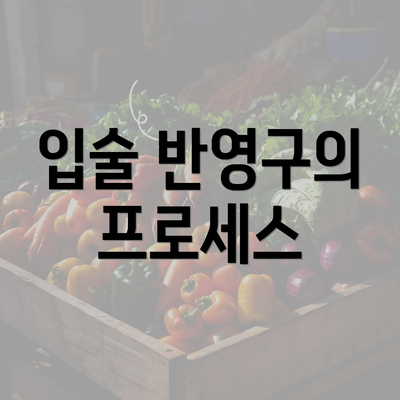 입술 반영구의 프로세스