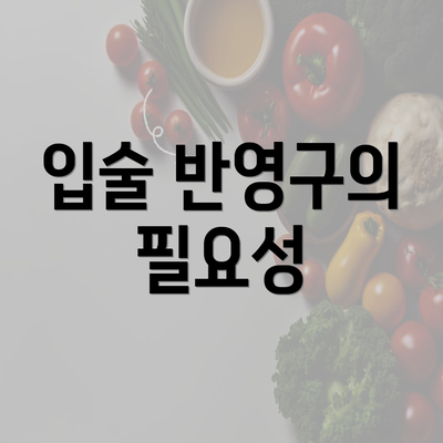 입술 반영구의 필요성