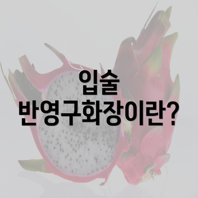 입술 반영구화장이란?