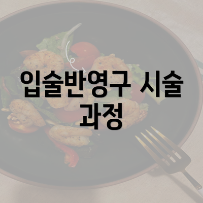 입술반영구 시술 과정