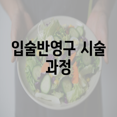 입술반영구 시술 과정